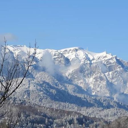 Sinaia Alpineview Residence Luaran gambar