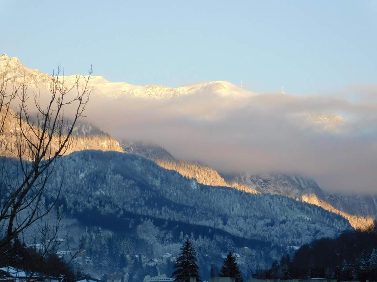 Sinaia Alpineview Residence Luaran gambar